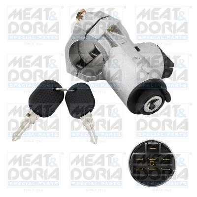 Steering Lock